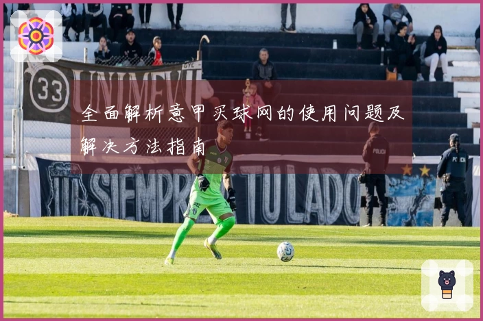 全面解析意甲买球网的使用问题及解决方法指南