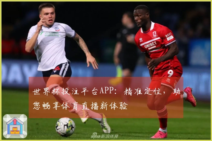 世界杯投注平台APP：精准定位，助您畅享体育直播新体验