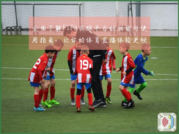 全面了解FIFA买球平台的功能与使用指南，让你的体育直播体验更轻松
