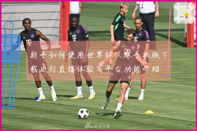 新手如何使用世界杯买球手机版下载进行直播体验与平台功能介绍
