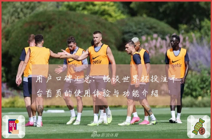 用户口碑汇总：畅谈世界杯投注平台首页的使用体验与功能介绍