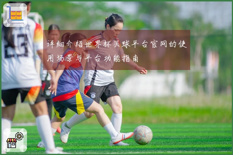 详细介绍世界杯买球平台官网的使用场景与平台功能指南