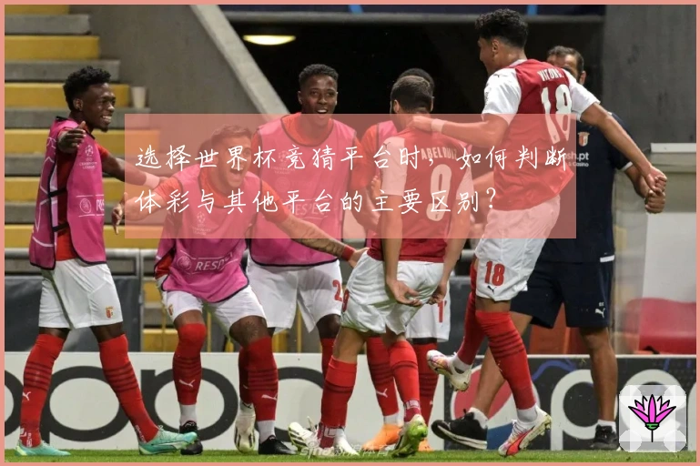 选择世界杯竞猜平台时，如何判断体彩与其他平台的主要区别？