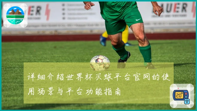 详细介绍世界杯买球平台官网的使用场景与平台功能指南