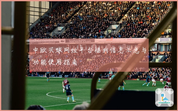 中欧买球网址平台福利信息汇总与功能使用指南