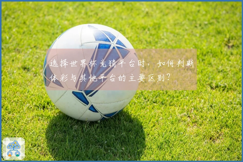 选择世界杯竞猜平台时，如何判断体彩与其他平台的主要区别？