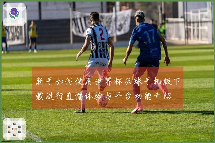 新手如何使用世界杯买球手机版下载进行直播体验与平台功能介绍